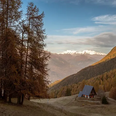 Angolo Del Bosco Appartamento *